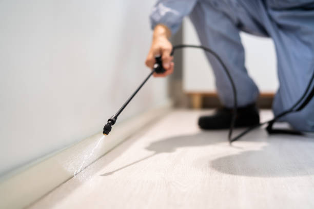 Licensed Termite Control service in Farmerville, LA - Nex Pest Control