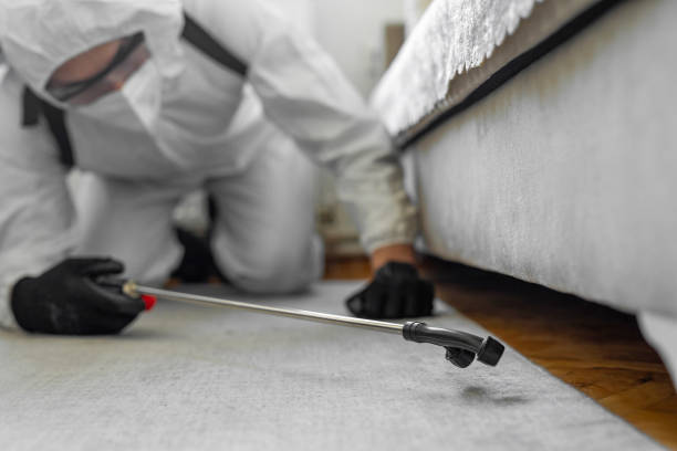 Professional Termite Control technician working in Farmerville, LA
