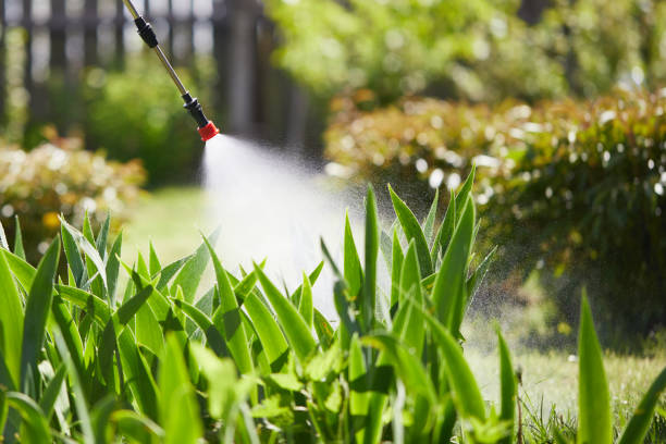 24/7 Emergency Termite Control experts in Farmerville, LA