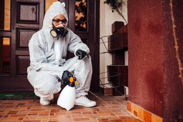 Reliable Termite Control contractor in Farmerville, LA by Nex Pest Control